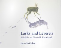 Larks and Leverets
